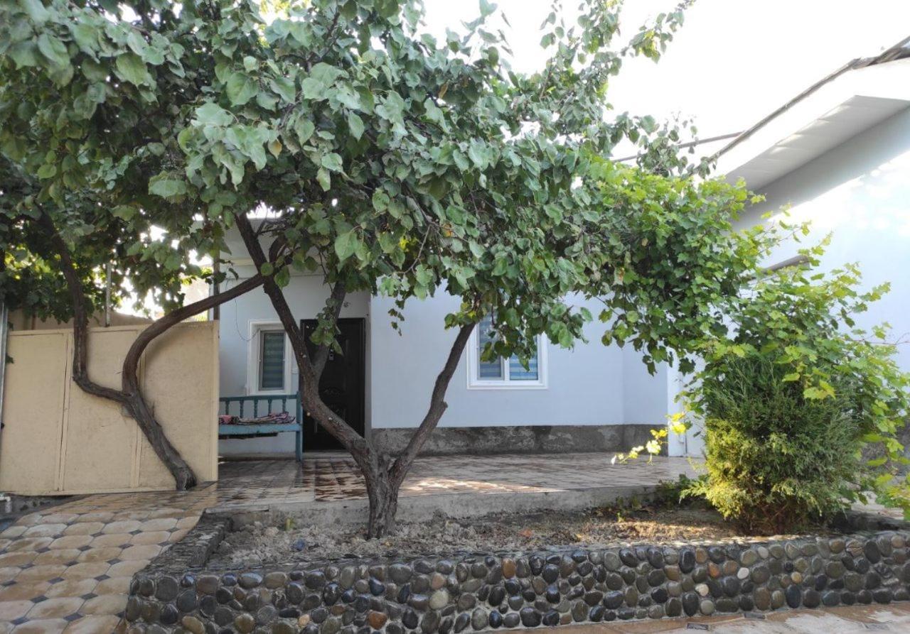 Guest House Gula Samarkanda Zewnętrze zdjęcie